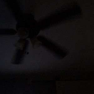 Meet your Posher, Timothy